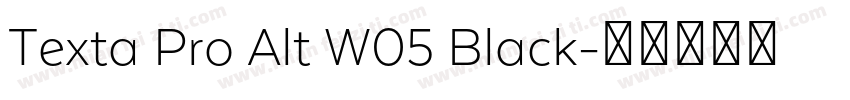 Texta Pro Alt W05 Black字体转换